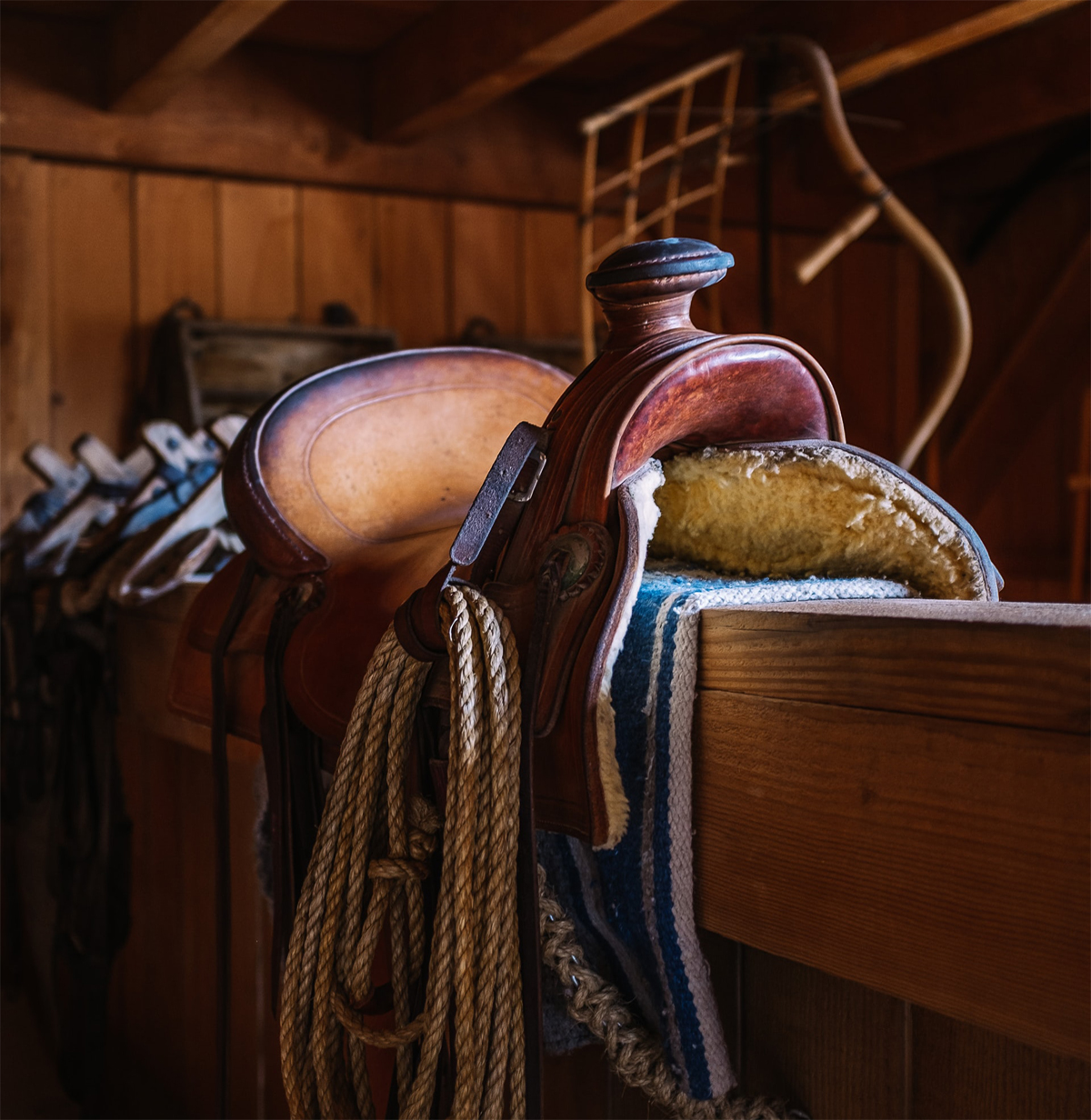 Equestrian Goods